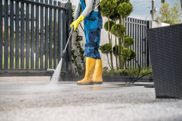 Best Affordable Pressure Washing  in Canyon Lake, TX