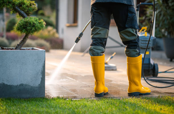 Best Pressure Washing Driveway  in Canyon Lake, TX